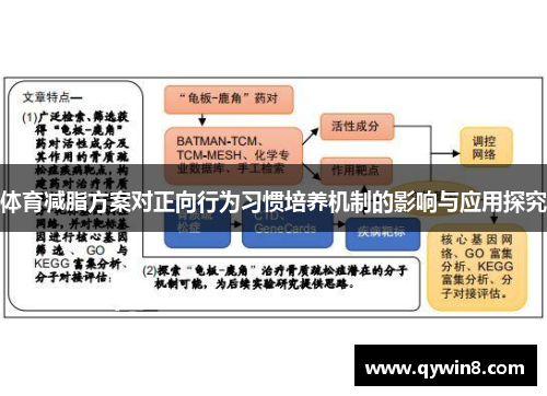 体育减脂方案对正向行为习惯培养机制的影响与应用探究