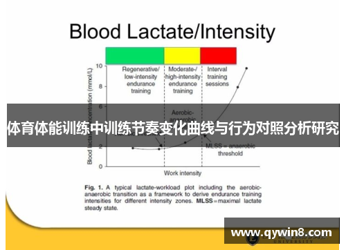 体育体能训练中训练节奏变化曲线与行为对照分析研究